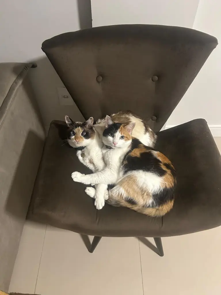 WhatsApp Image 2026-01-03 at 00.24.16(1).webp