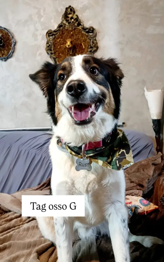 WhatsApp Image 2026-01-03 at 00.28.41.webp